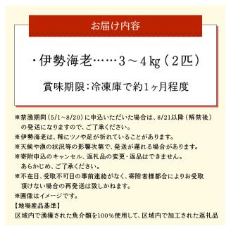 沖永良部島直送！素潜り漁師オススメの特大冷凍伊勢海老　約３～４キロ（２匹）！