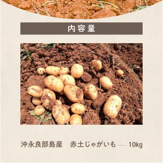 【2026年先行予約】皆村農園のホクホク！ほりたて！春の新じゃがいも 10kg【1月下旬～4月下旬】　W035-001