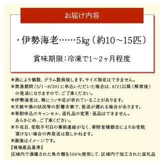 沖永良部島直送！素潜り漁師オススメの冷凍伊勢海老　約5キロ（10～15匹）！