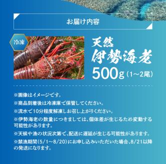 【ふるさと納税】エメラルドブルーの美しい海で獲れた天然伊勢海老500ｇ（１～２尾）！