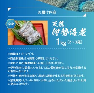 【ふるさと納税】エメラルドブルーの美しい海で獲れた天然伊勢海老１㎏（２～３尾）！