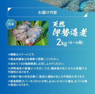 【ふるさと納税】エメラルドブルーの美しい海で獲れた天然伊勢海老２㎏（４～６尾）！