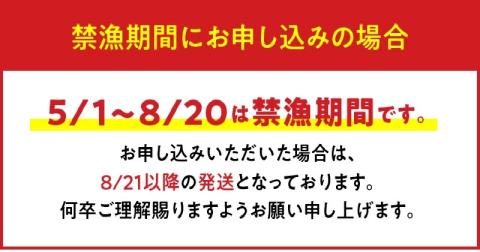 【漁師直送】活き〆冷凍　天然伊勢海老500g(1～2尾)