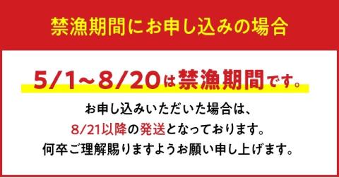 【漁師直送】活き〆冷凍　天然伊勢海老600g（1～2尾）
