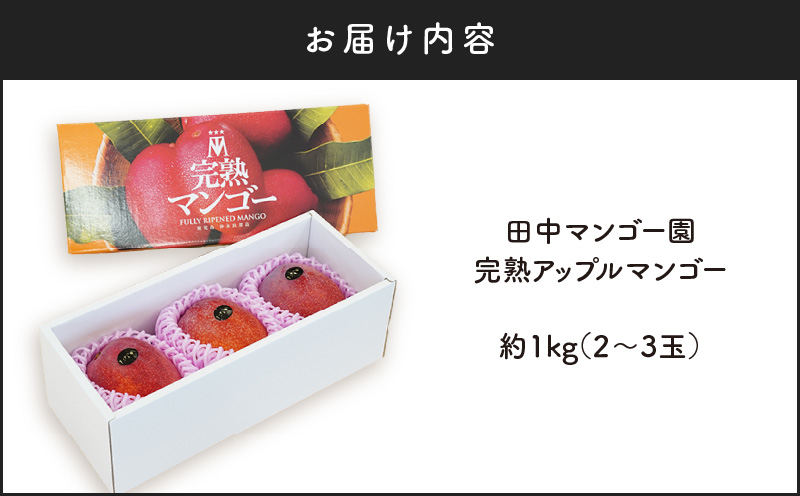 【2026年先行予約】沖永良部完熟アップルマンゴー2～3玉で1kg 　W001-009u