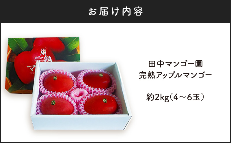 【2026年先行予約】沖永良部完熟アップルマンゴー4～6玉で2kg 　W001-010u