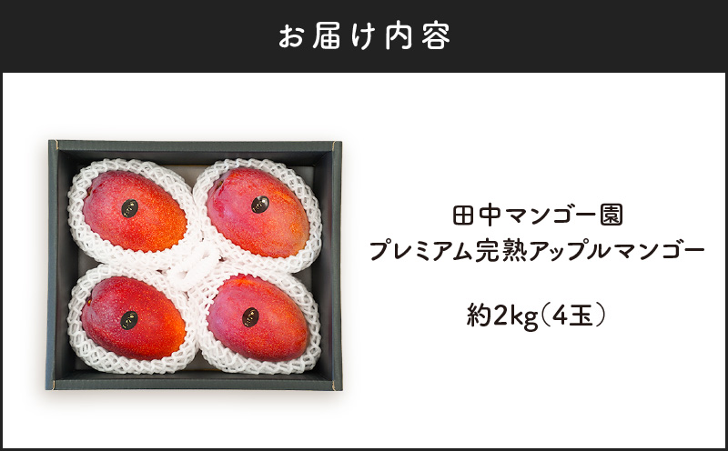 【2026年先行予約】田中マンゴー園のプレミアム完熟アップルマンゴー 4玉で2kg 　W001-012u