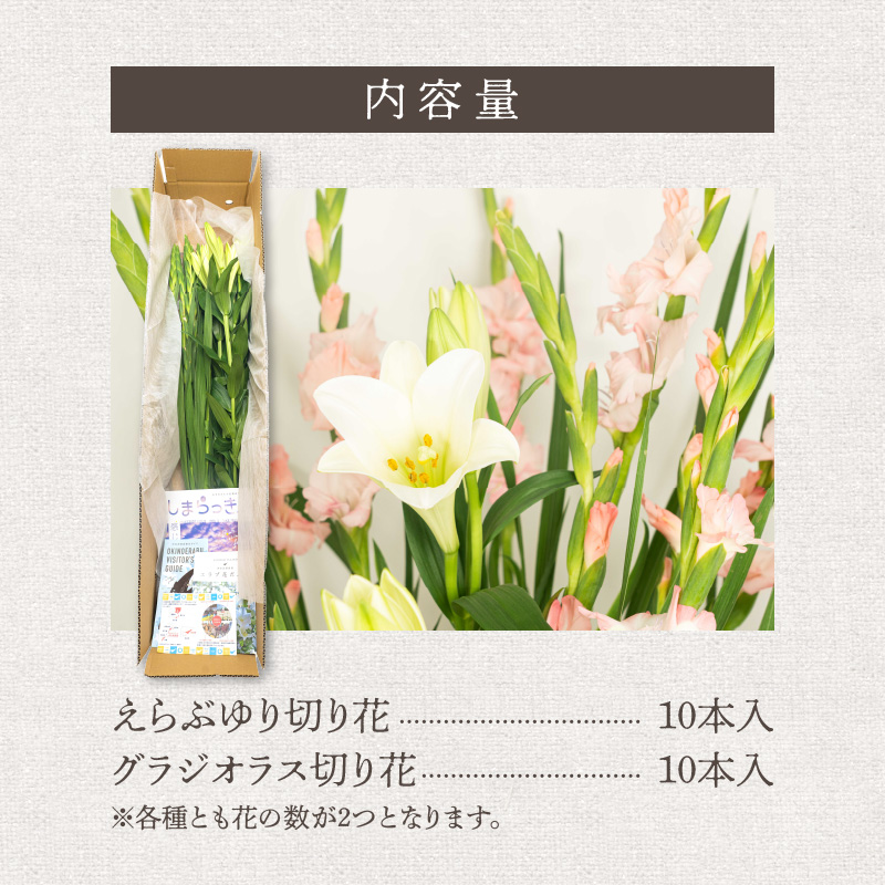 沖永良部島で大切に育てられた えらぶユリ・グラジオラス切り花（中）セット　W008-011u