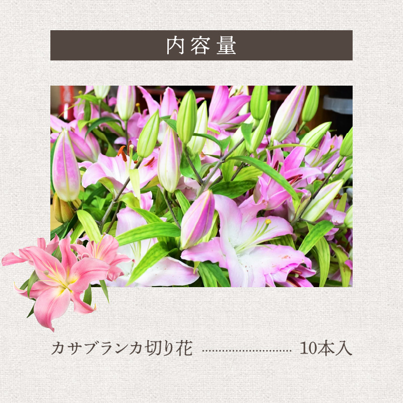 ■沖永良部島で大切に育てられた?オリエンタル・カサブランカの花セット　W008-012u