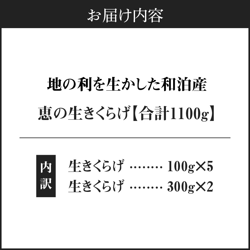 ■地の利を生かした沖永良部産 恵の生きくらげ　W012-001