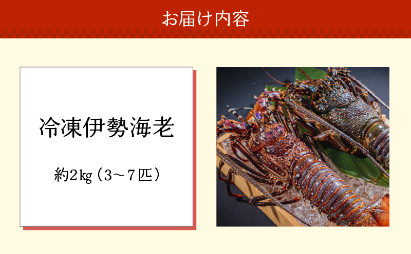 沖永良部島直送！素潜り漁師オススメの冷凍伊勢海老 約2kg（3～7匹）！　W030-011u