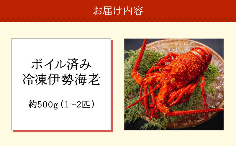 沖永良部島直送！素潜り漁師オススメのボイル済み冷凍伊勢海老 約500g（1～2匹）！　W030-017