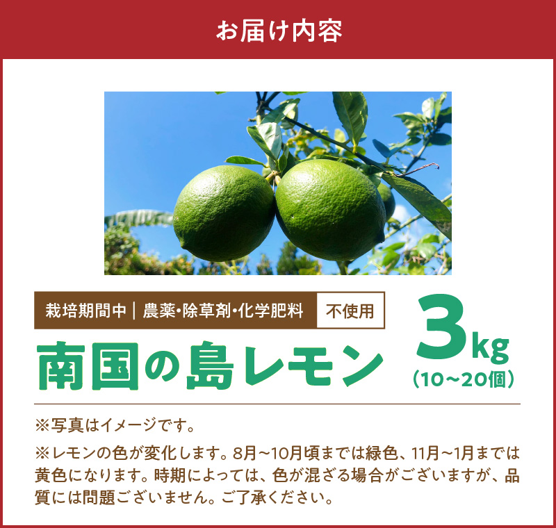 ■【先行受付】栽培期間中 農薬・除草剤・化学肥料不使用！南国の島レモン 3kg！【2025年9月～2026年2月下旬お届け】　W043-004u