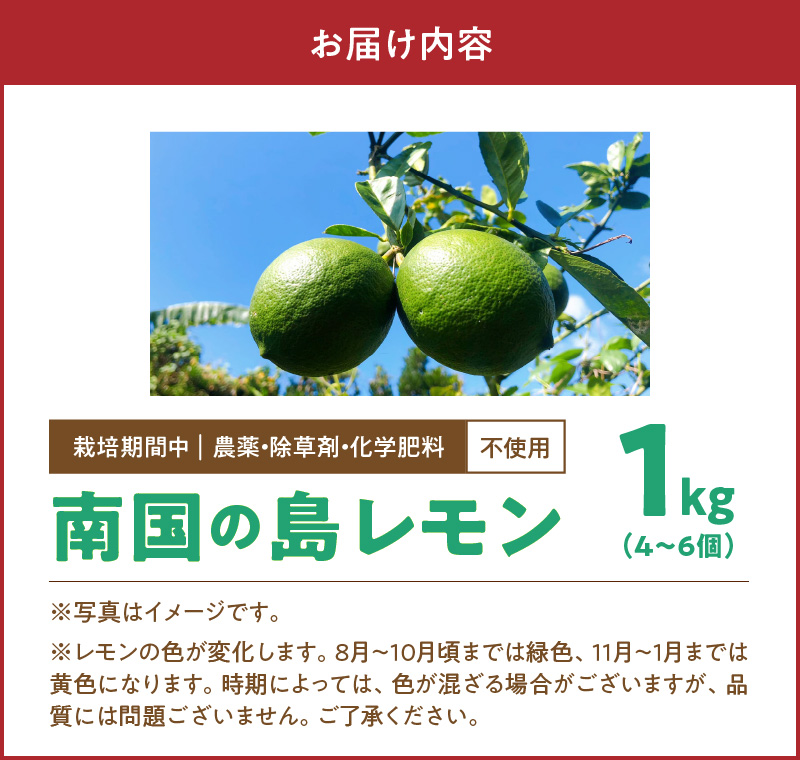 ■【先行受付】栽培期間中 農薬・除草剤・化学肥料不使用！南国の島レモン 1kg！【2025年9月～2026年2月下旬お届け】　W043-005u