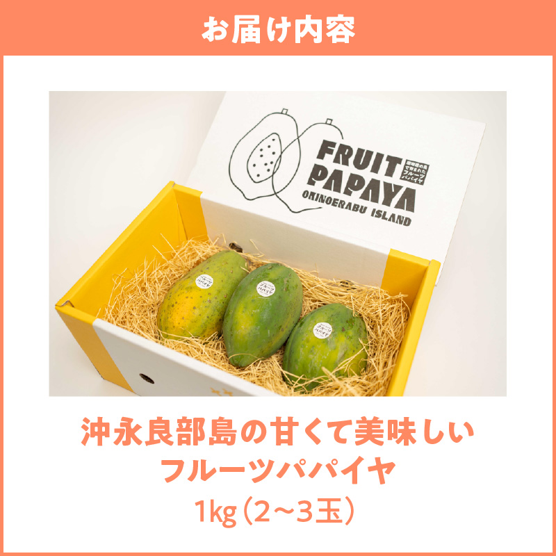 【先行受付】沖永良部島の甘くて美味しいフルーツパパイヤ1kg（2～3玉）　W051-009u