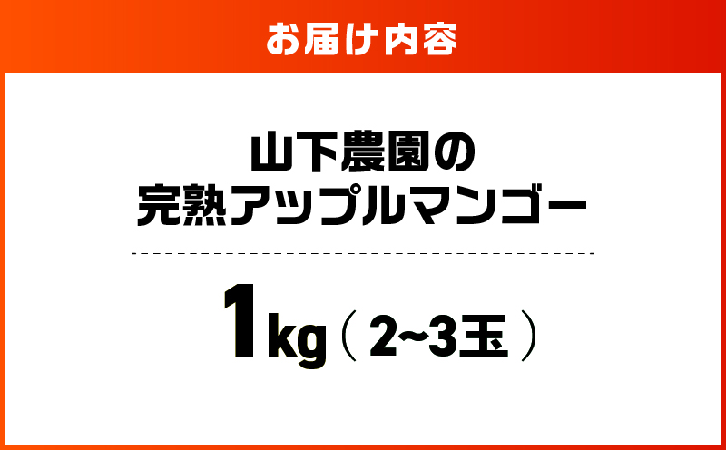 【2026年先行予約】甘い香りの贈り物！山下農園の完熟アップルマンゴー 1kg（2～3玉）　W063-003-01
