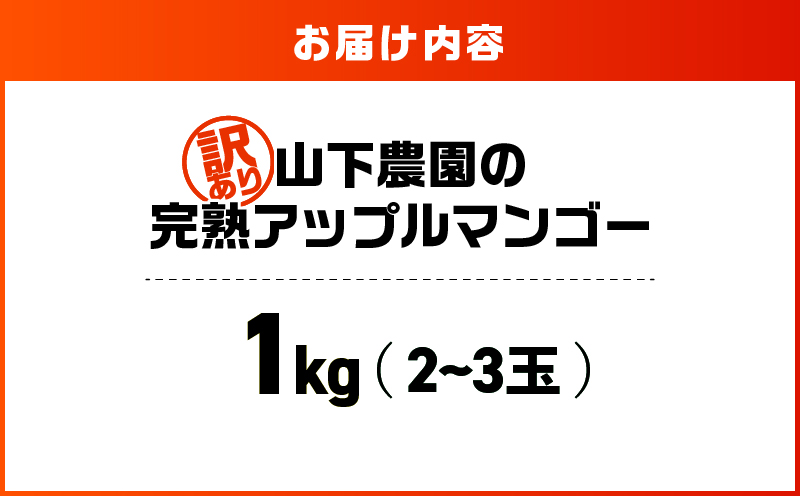 【2026年先行予約】【訳あり】甘い香りの贈り物！山下農園の完熟アップルマンゴー 1kg（2～3玉）　W063-004-01