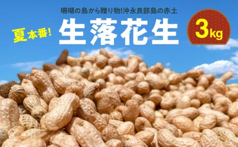 【先行予約】夏本番！珊瑚の島から贈り物！沖永良部島の赤土 生落花生３キロ！【7月中旬～9月上旬】