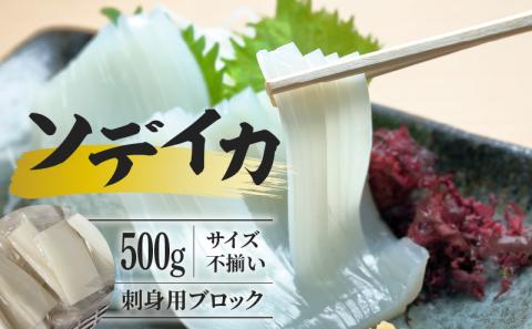 【サイズ不揃い】ソデイカ・刺身用ブロック 500g/沖永良部島特産　W009-056u