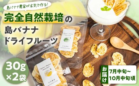 【W029-010u】【先行受付】島バナナ農家が本気で作る完全自然栽培の島バナナドライフルーツ30ｇ×2袋（７月中旬～10月中旬頃発送）
