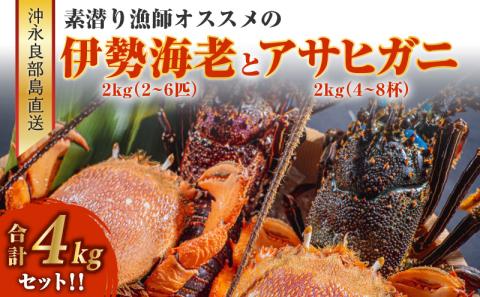 沖永良部島直送！素潜り漁師オススメの伊勢海老２キロ（２～６匹）とアサヒガニ２キロ（４～８杯） 合計４キロセット！！: 和泊町ANAのふるさと納税