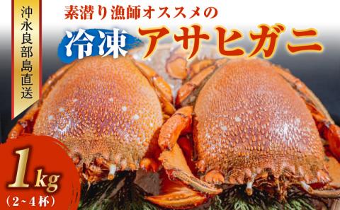 沖永良部島直送！素潜り漁師オススメの冷凍アサヒガニ1キロ（２～４杯）