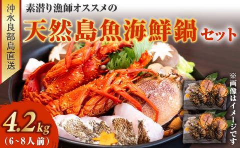 沖永良部島直送！素潜り漁師オススメの天然島魚　海鮮鍋セット4.2キロ（６～８人前）