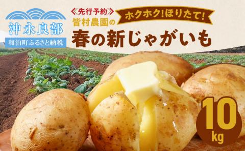 【2026年先行予約】皆村農園のホクホク！ほりたて！春の新じゃがいも 10kg【1月下旬～4月下旬】　W035-001