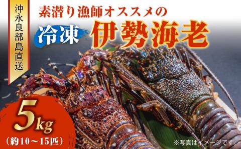 沖永良部島直送！素潜り漁師オススメの冷凍伊勢海老　約5キロ（10～15匹）！