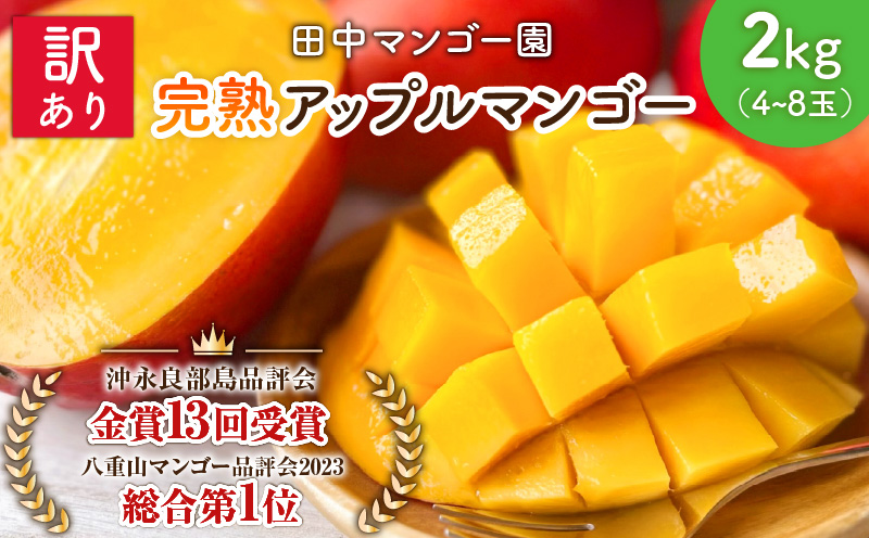 【2026年先行予約】訳あり 田中マンゴー園 完熟アップルマンゴー 4～8玉で2kg （ご家庭用）　W001-008u