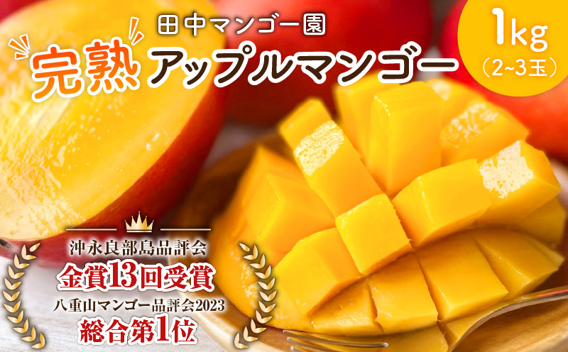 【2026年先行予約】沖永良部完熟アップルマンゴー2～3玉で1kg 　W001-009u