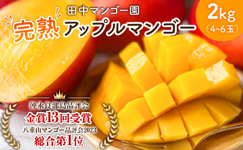 【2026年先行予約】沖永良部完熟アップルマンゴー4～6玉で2kg 　W001-010u