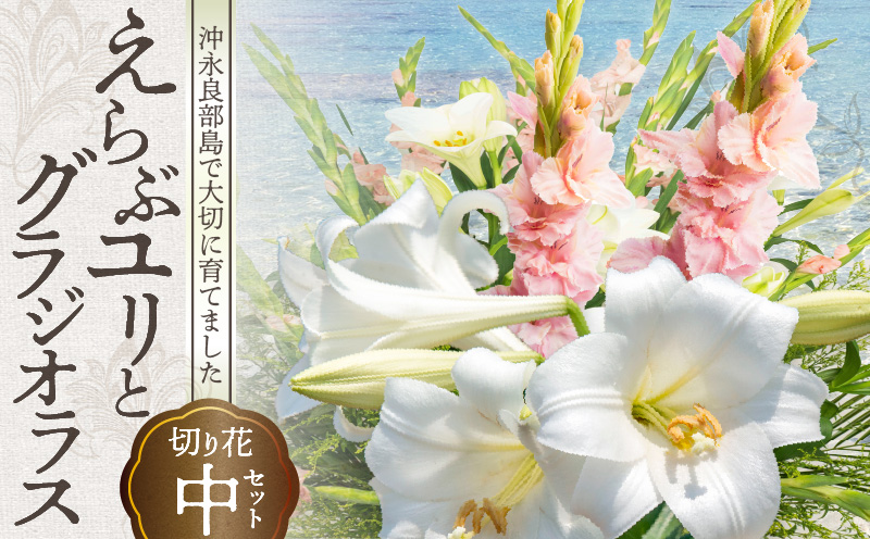 沖永良部島で大切に育てられた えらぶユリ・グラジオラス切り花（中）セット　W008-011u