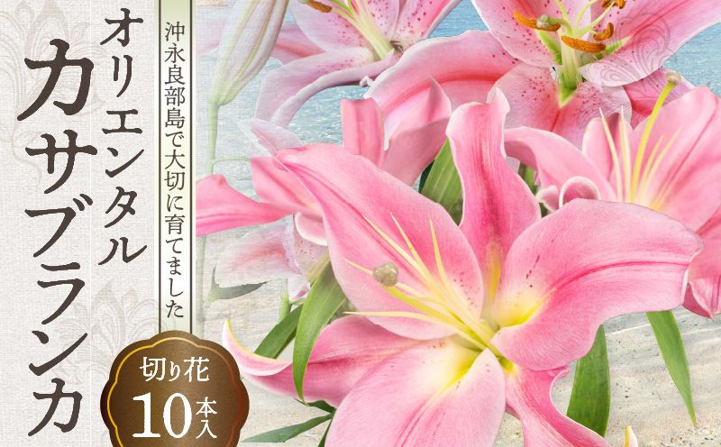 ■沖永良部島で大切に育てられた?オリエンタル・カサブランカの花セット　W008-012u