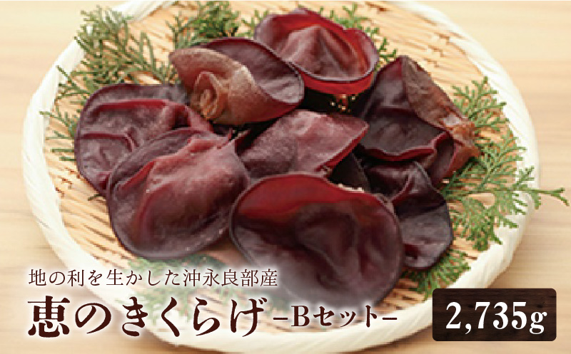 地の利を生かした沖永良部産 恵のきくらげBセット　W012-003u