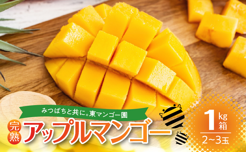 【2026年先行予約】南の島で太陽の日差しをたっぷり浴びた沖永良部産「完熟マンゴー」1kg　W014-007u