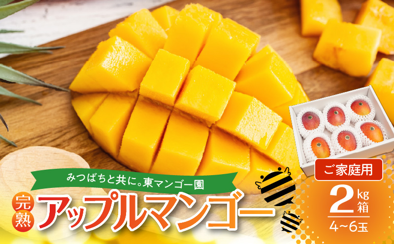 【2026年先行予約】≪ご家庭用≫東マンゴー園直送！完熟アップルマンゴー 2kg（４～６玉）　W014-010u