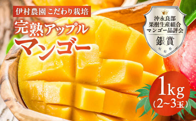 【2026年先行予約】伊村農園こだわり栽培！完熟アップルマンゴー１kg（２～３玉）　W026-001u