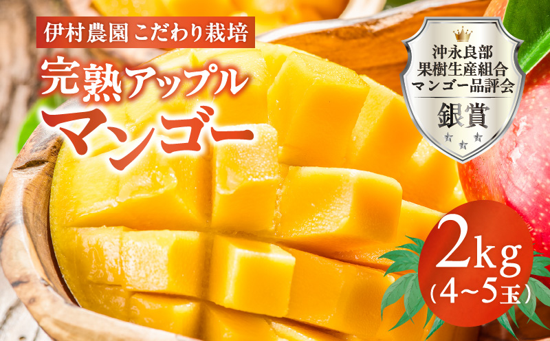 【2026年先行予約】伊村農園こだわり栽培！完熟アップルマンゴー２kg（４～５玉）　W026-002u