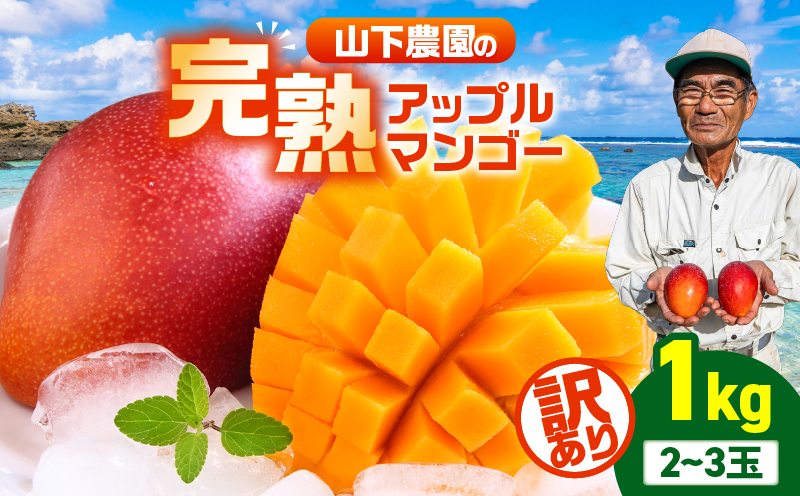 【2026年先行予約】【訳あり】甘い香りの贈り物！山下農園の完熟アップルマンゴー 1kg（2～3玉）　W063-004-01