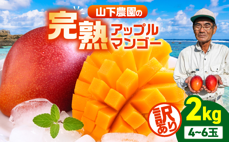 【2026年先行予約】【訳あり】甘い香りの贈り物！山下農園の完熟アップルマンゴー 2kg（4～6玉）　W063-004-02