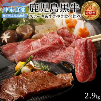 鹿児島黒牛 ステーキ & すきやき 食べ比べ 3回 定期便 合計2.9kg