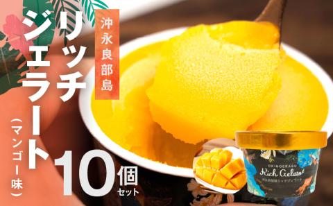 沖永良部島リッチジェラート(マンゴー味)10個セット
