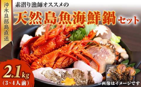 沖永良部島直送！素潜り漁師オススメの天然島魚　海鮮鍋セット2.1キロ（3～4人前）