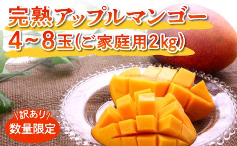 [先行予約]訳あり 田中マンゴー園 完熟アップルマンゴー 4〜8玉で2kg(ご家庭用)
