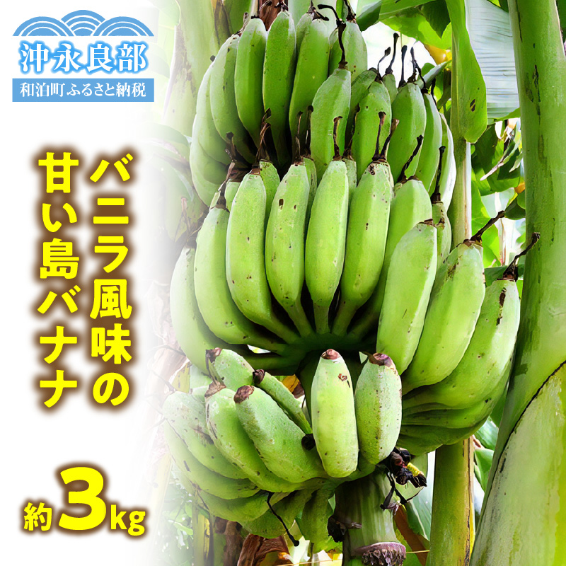 ■ 栽培期間中 農薬・除草剤・化学肥料不使用！バニラ風味の甘い島バナナ 3kg【2025年6月～2025年11月下旬お届け】　W043-001u