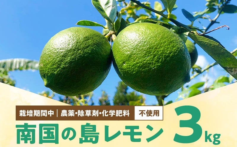 ■【先行受付】栽培期間中 農薬・除草剤・化学肥料不使用！南国の島レモン 3kg！【2025年9月～2026年2月下旬お届け】　W043-004u