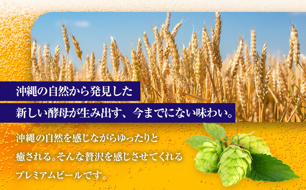 オリオン ザ・プレミアム （350ml×24缶）*県認定返礼品／オリオンビール*