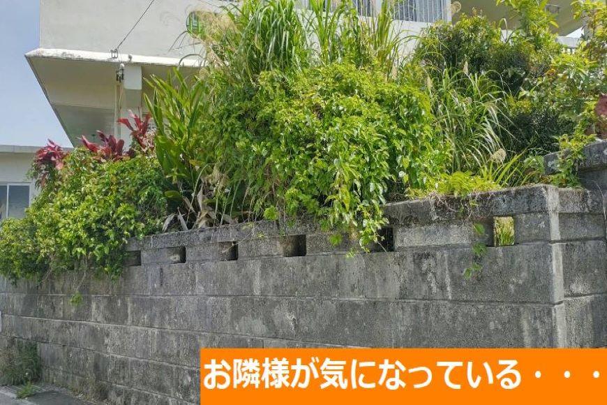 空き家見守り通常プラン