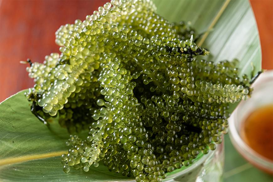 オキナワ酒場波平てりとりー 6,000円分お食事券